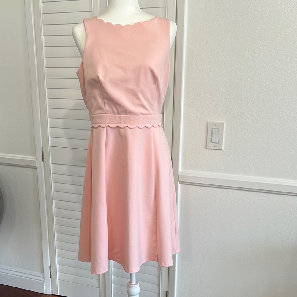 Pink ELLE Fit & Flare A line dress